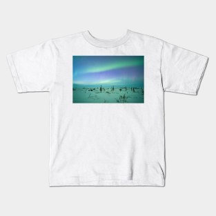 Frozen Arctic Auroras Kids T-Shirt